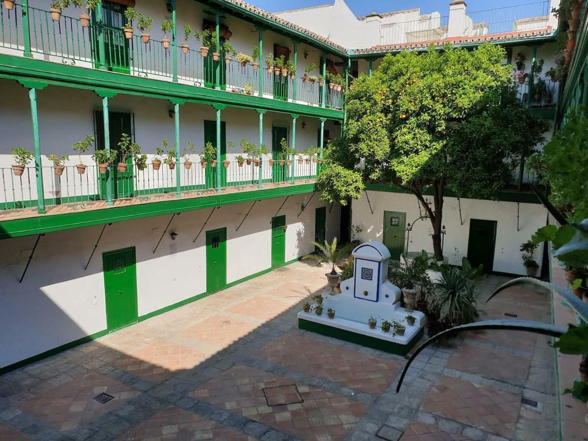 Appartement Setas *