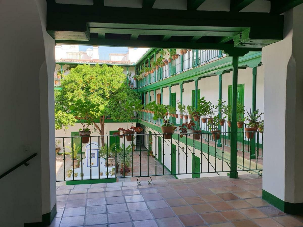 Setas Appartement *