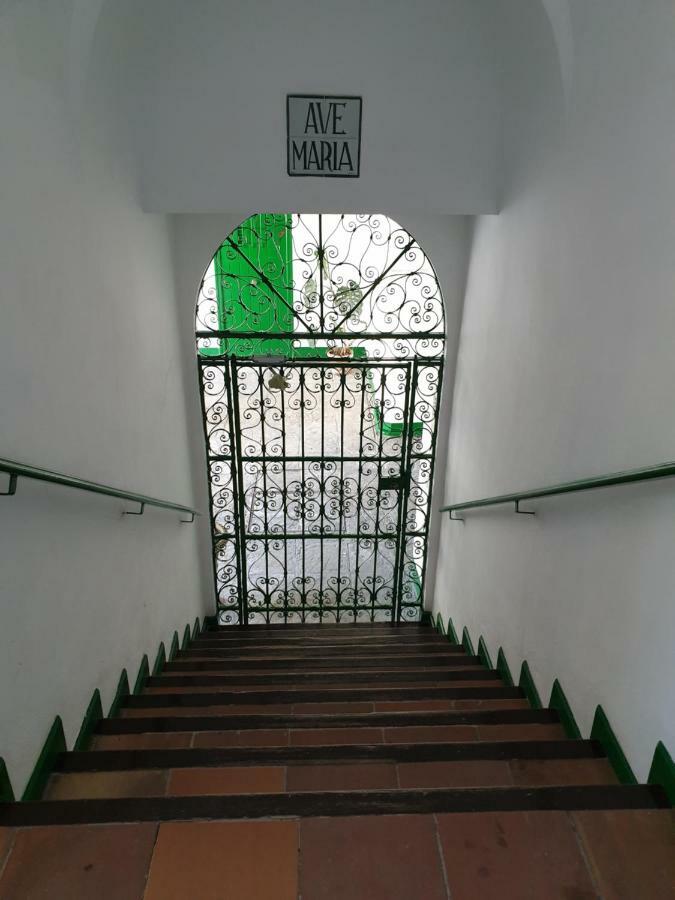 Setas Appartement *