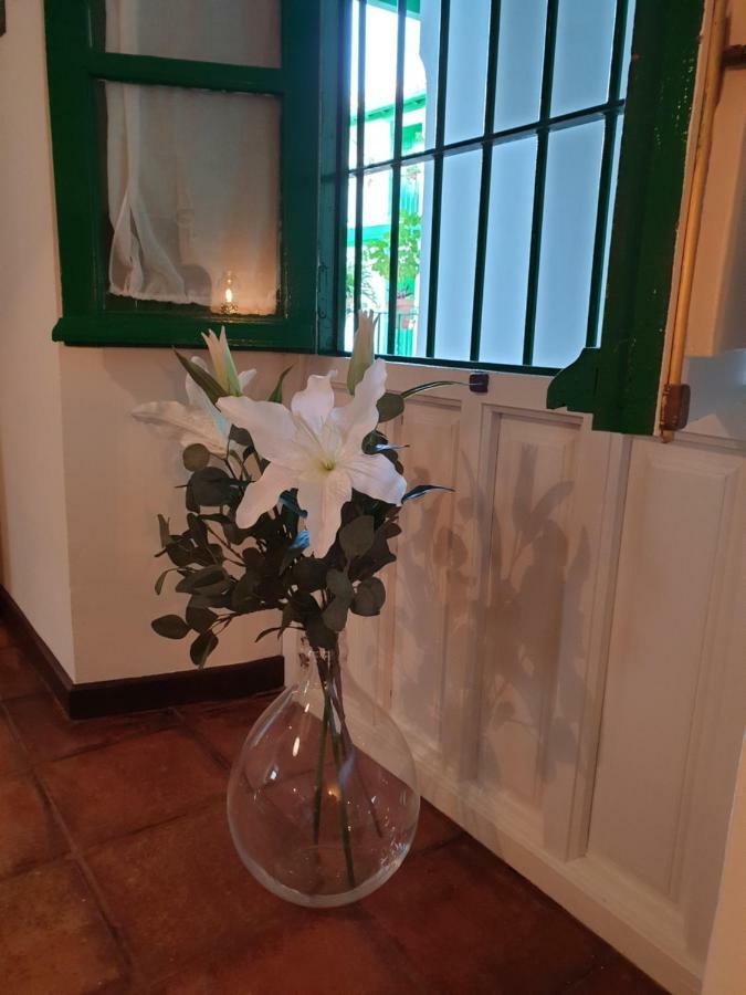 Setas Appartement