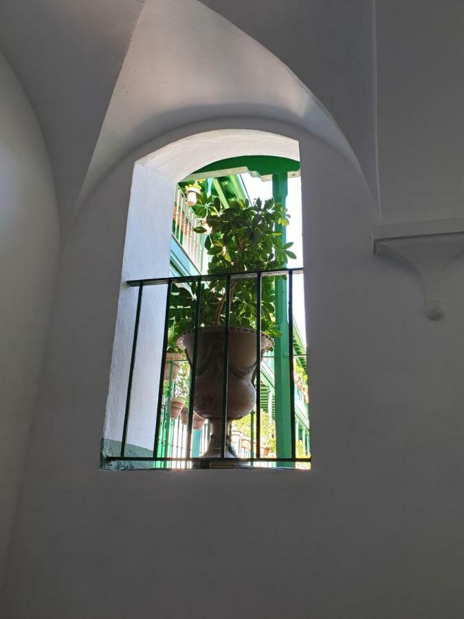 Appartement Setas
